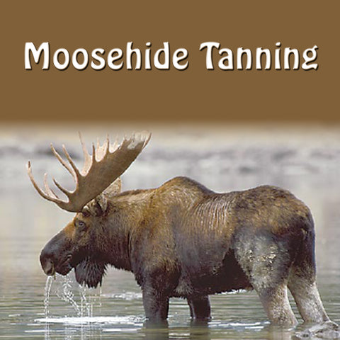 Moosehide Tanning (English)