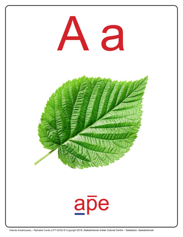 Alphabet Cards (Ihañktoñwañ) (Dakota)