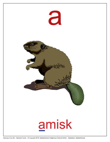 Alphabet Cards (Swampy Cree N)