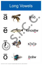 Vowels (Set of 2) (Swampy Cree N)