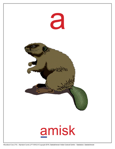 Alphabet Cards (Woodland Cree TH) (4.25x5.5)